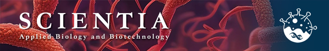 website Header